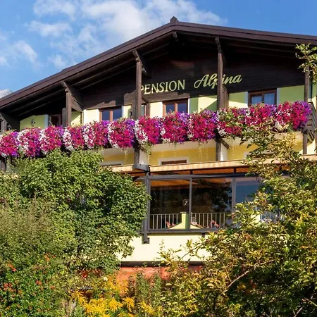 Cafe Alpina Гостевой дом 3*