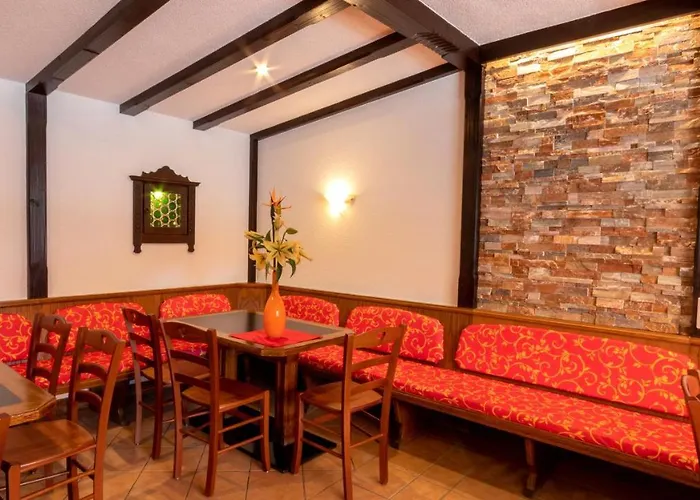 阿尔皮纳咖啡酒店 招待所